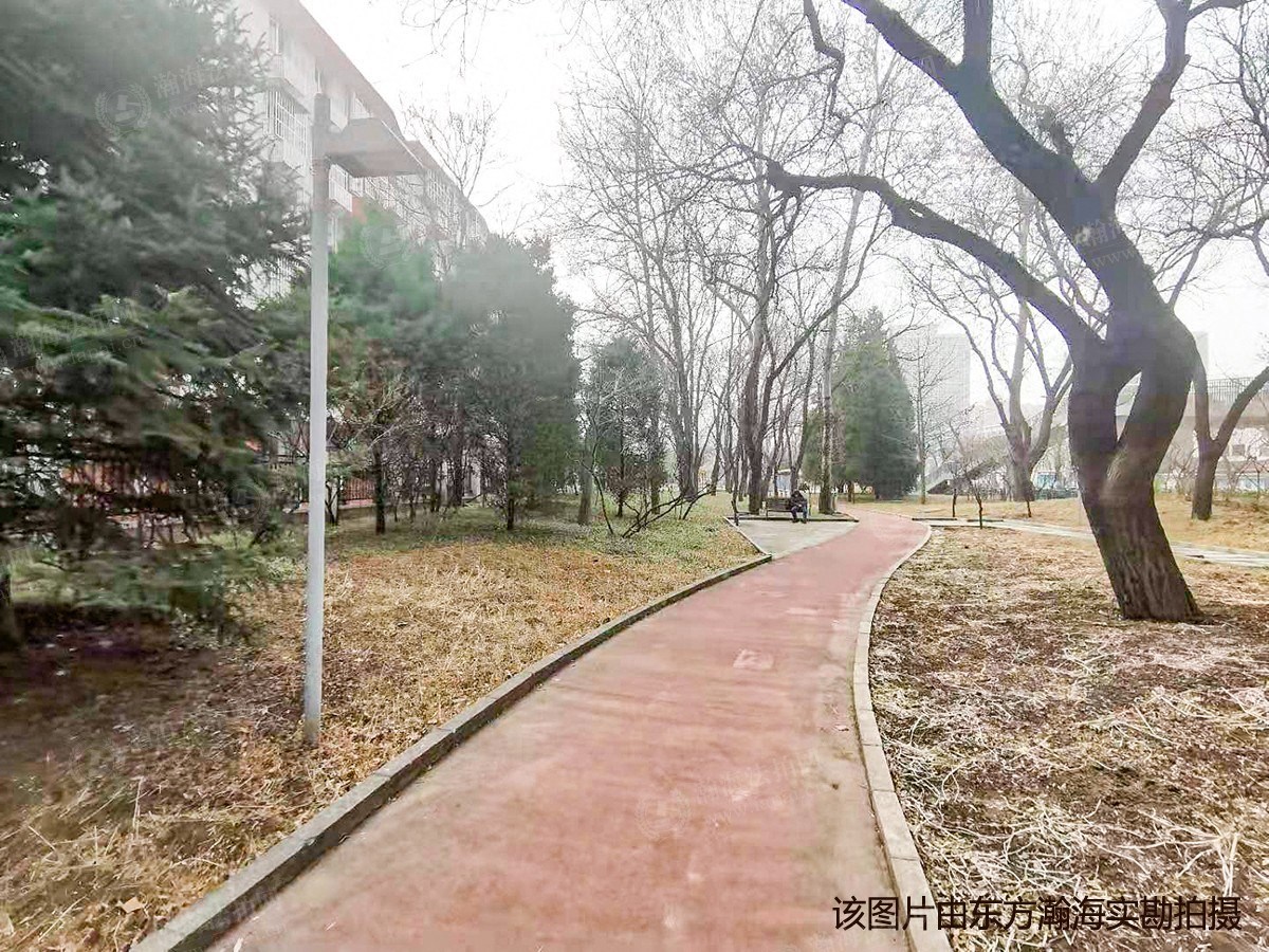 东王庄19号楼9单元102室