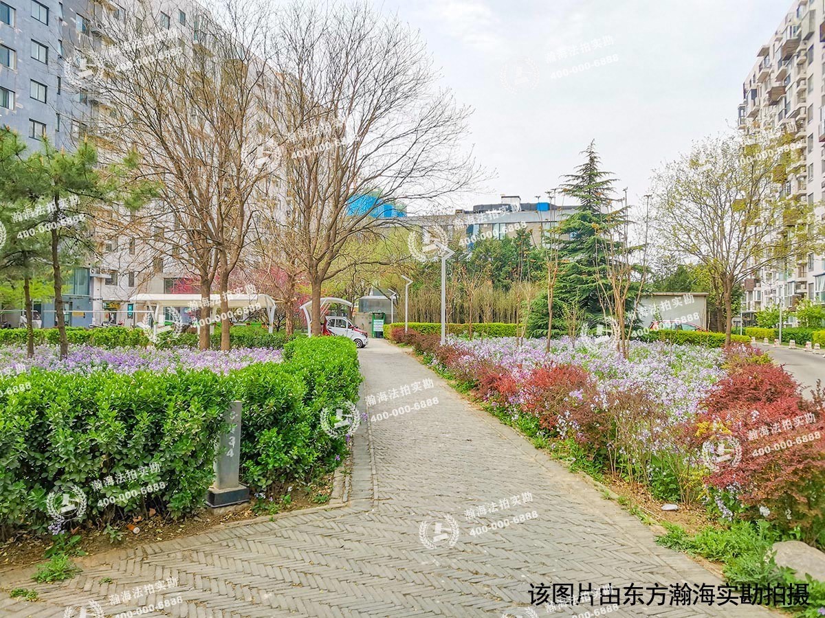 苹果派14号楼商业房产