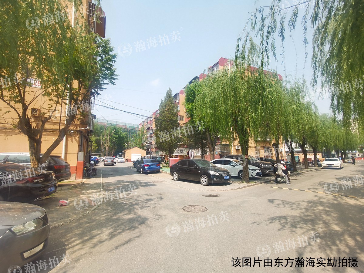 玉桥南里南区31号楼561室