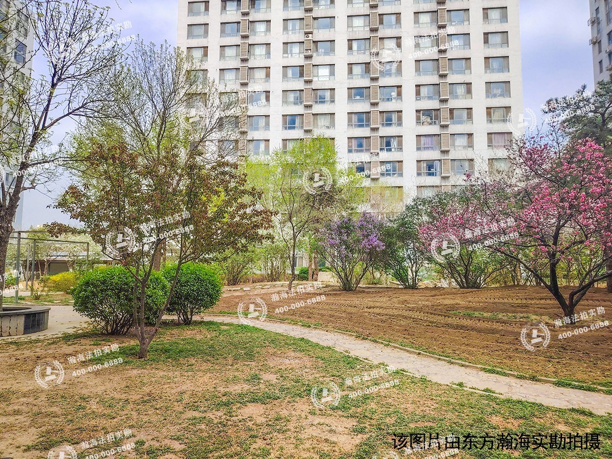 好景国际1号楼1007室