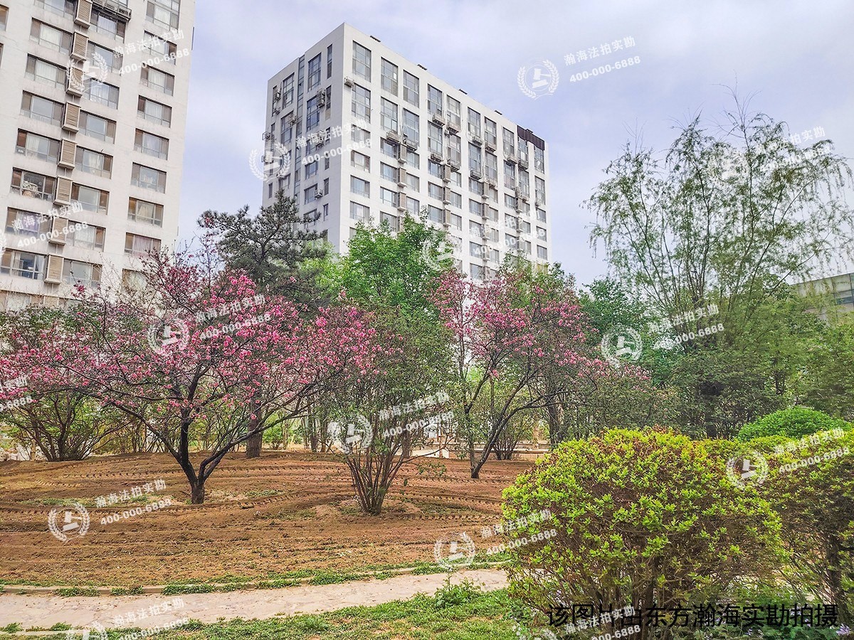 好景国际1号楼1007室