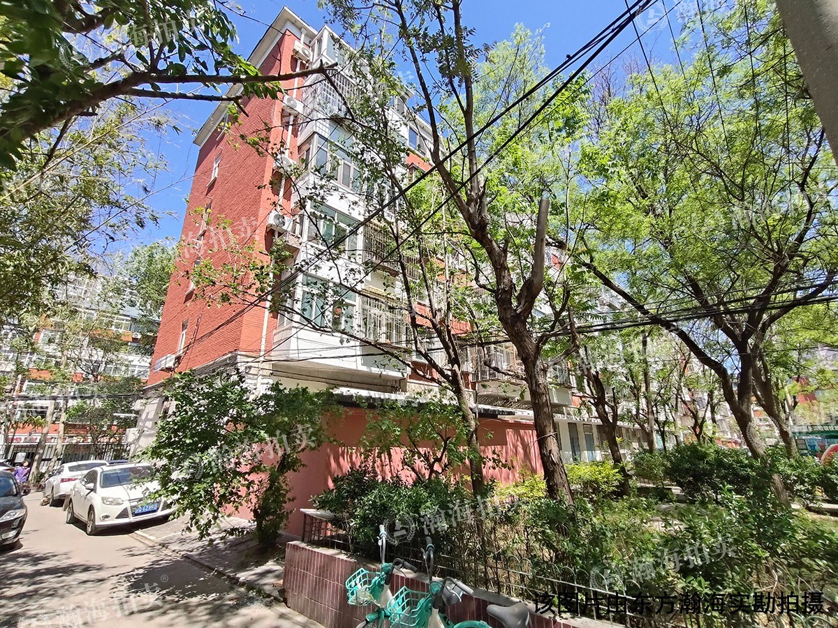 铁东小区3号楼8单元603室