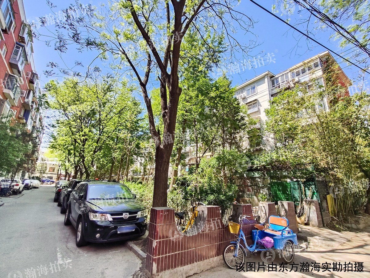 铁东小区3号楼8单元603室
