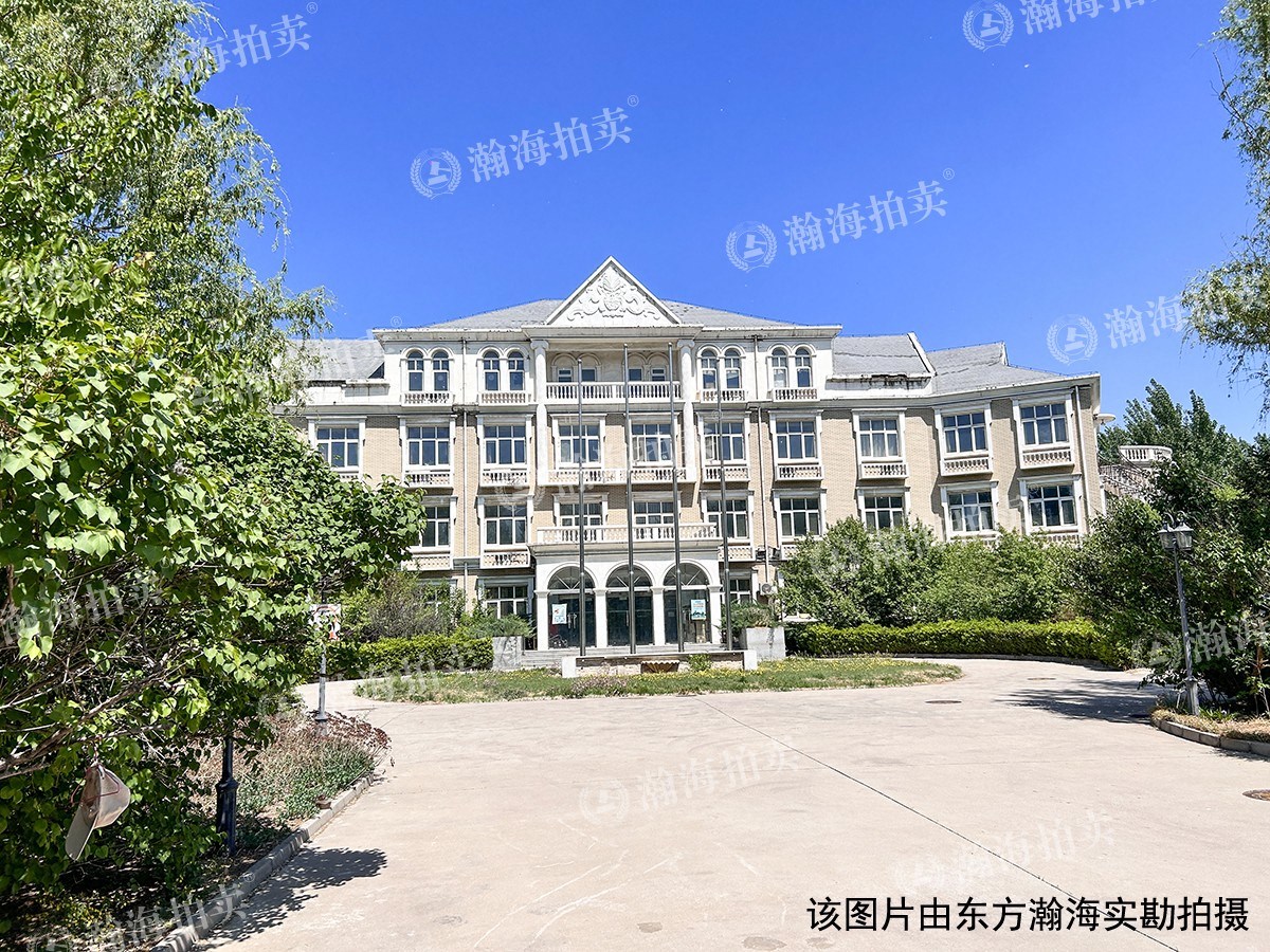 白杨路11号