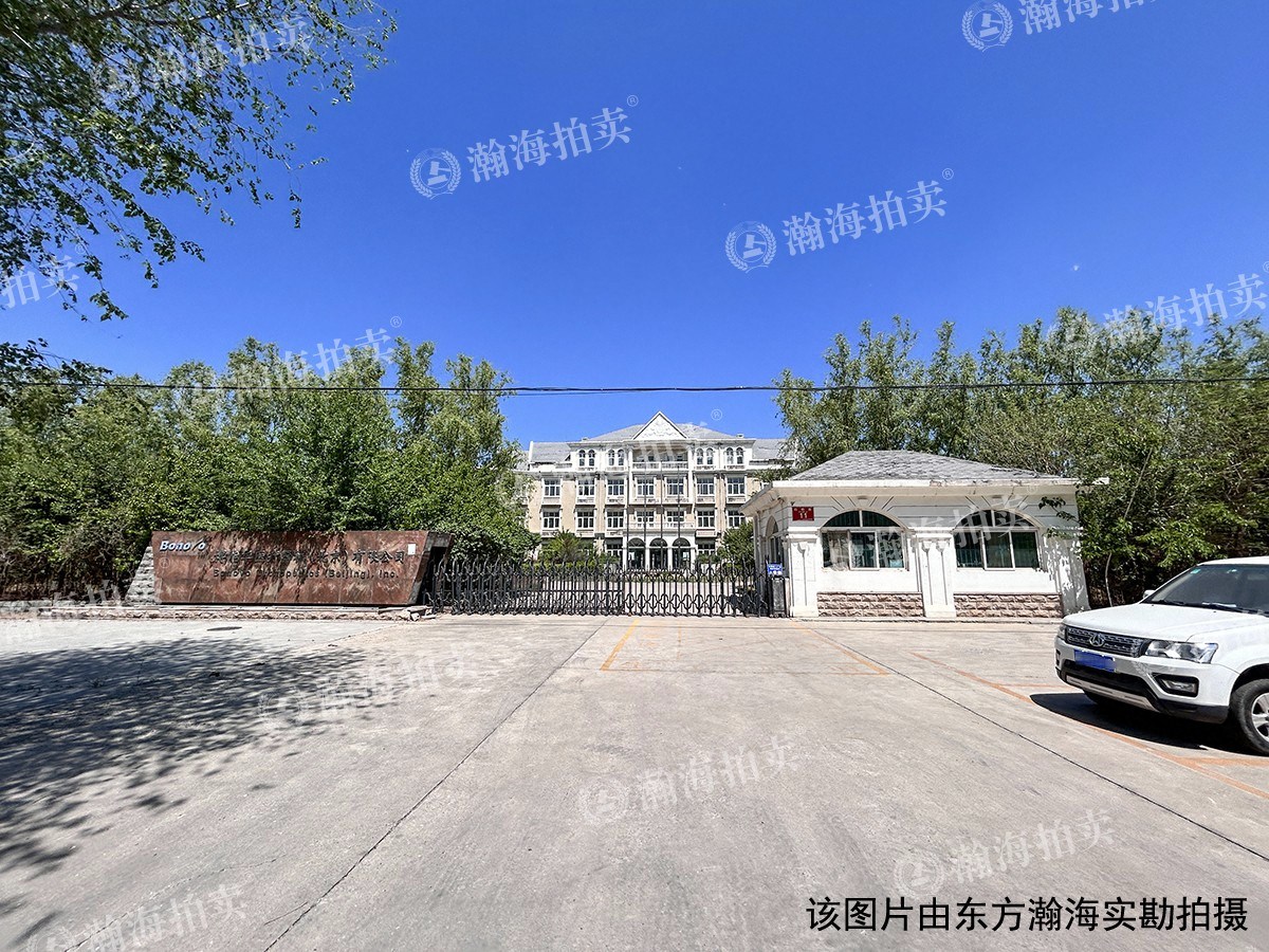 白杨路11号