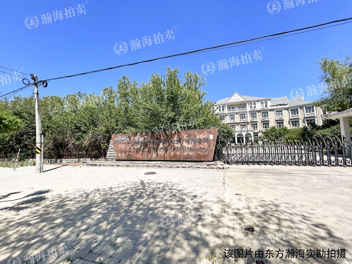 白杨路11号