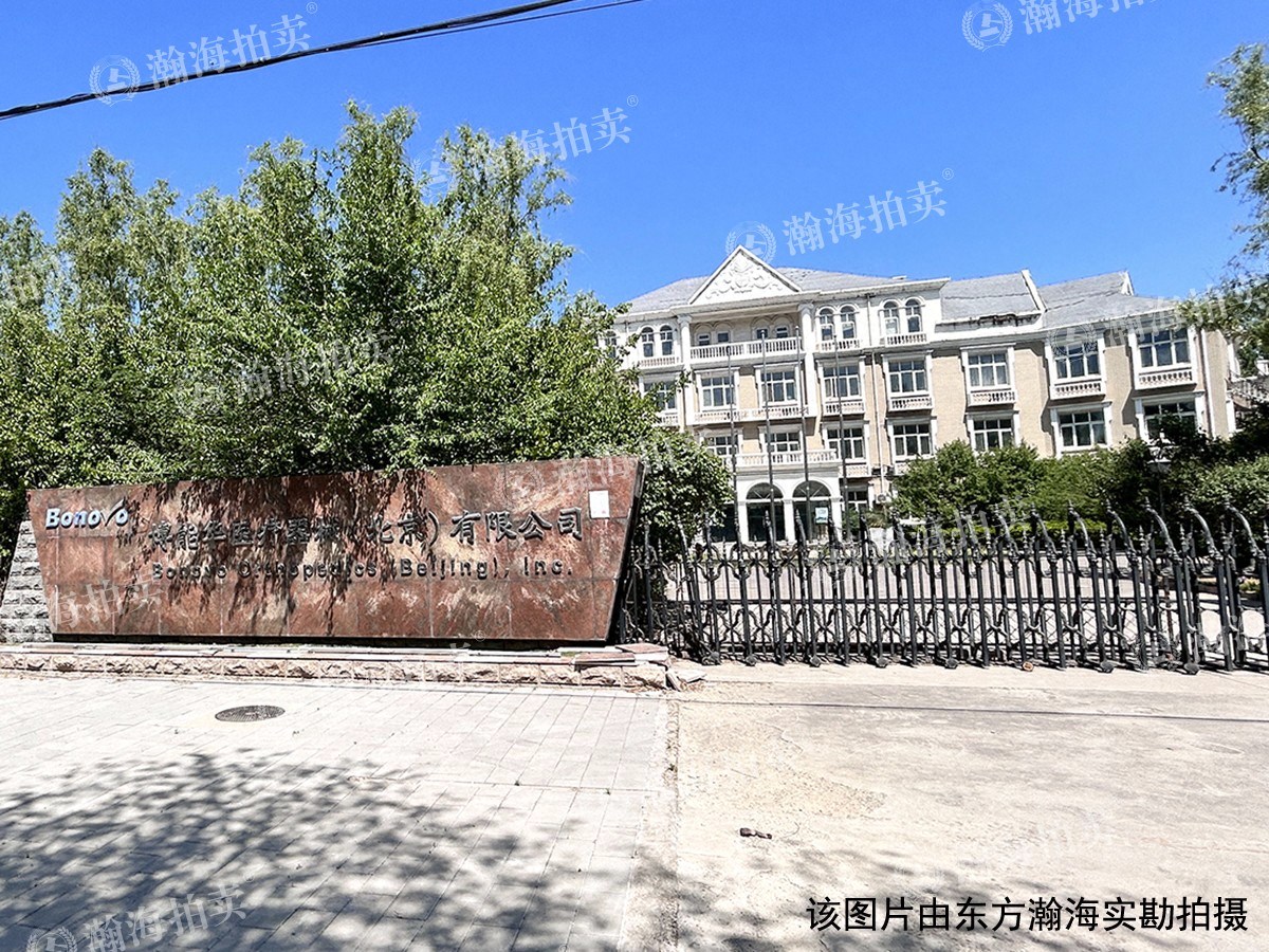 白杨路11号