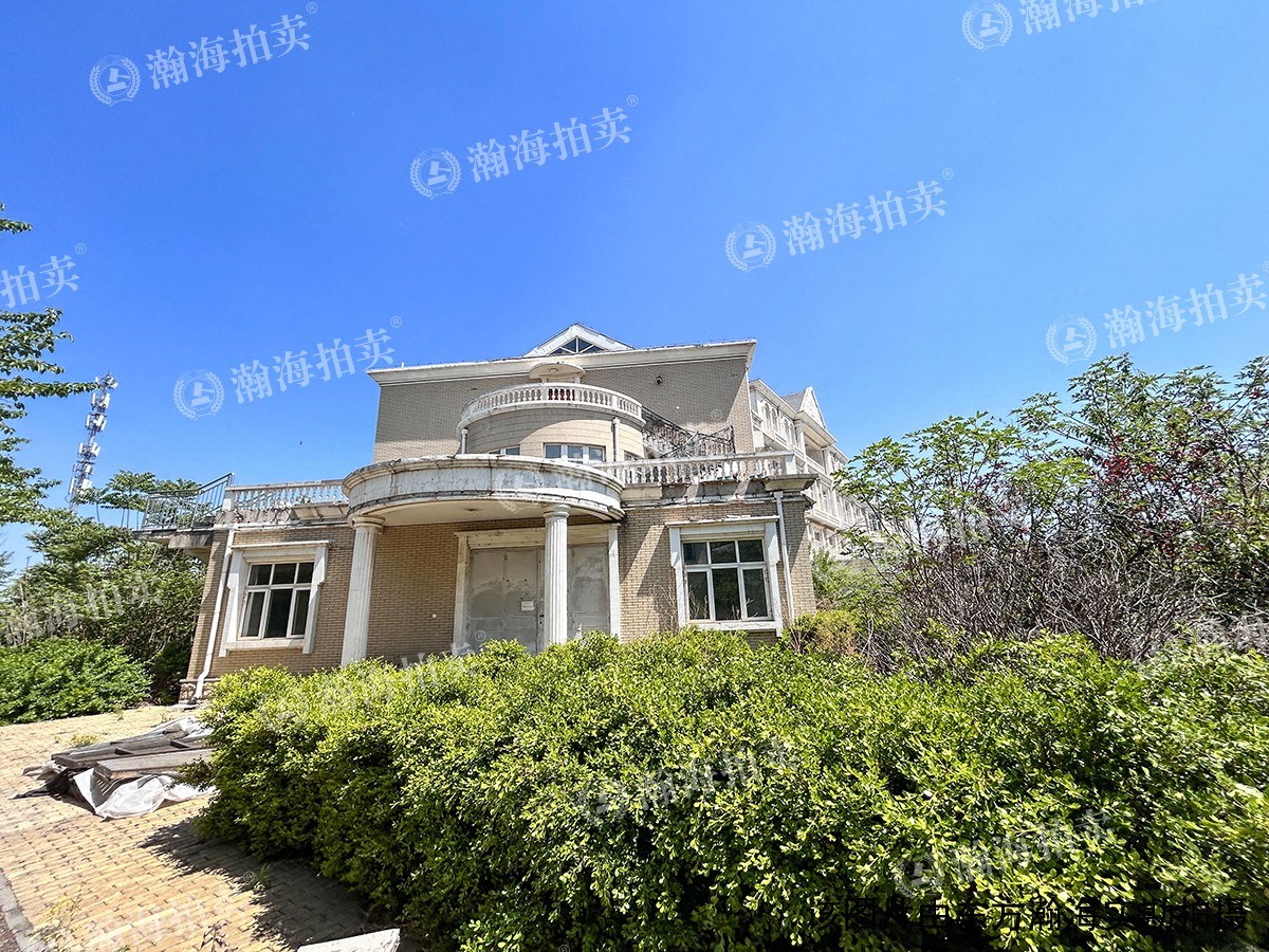 白杨路11号
