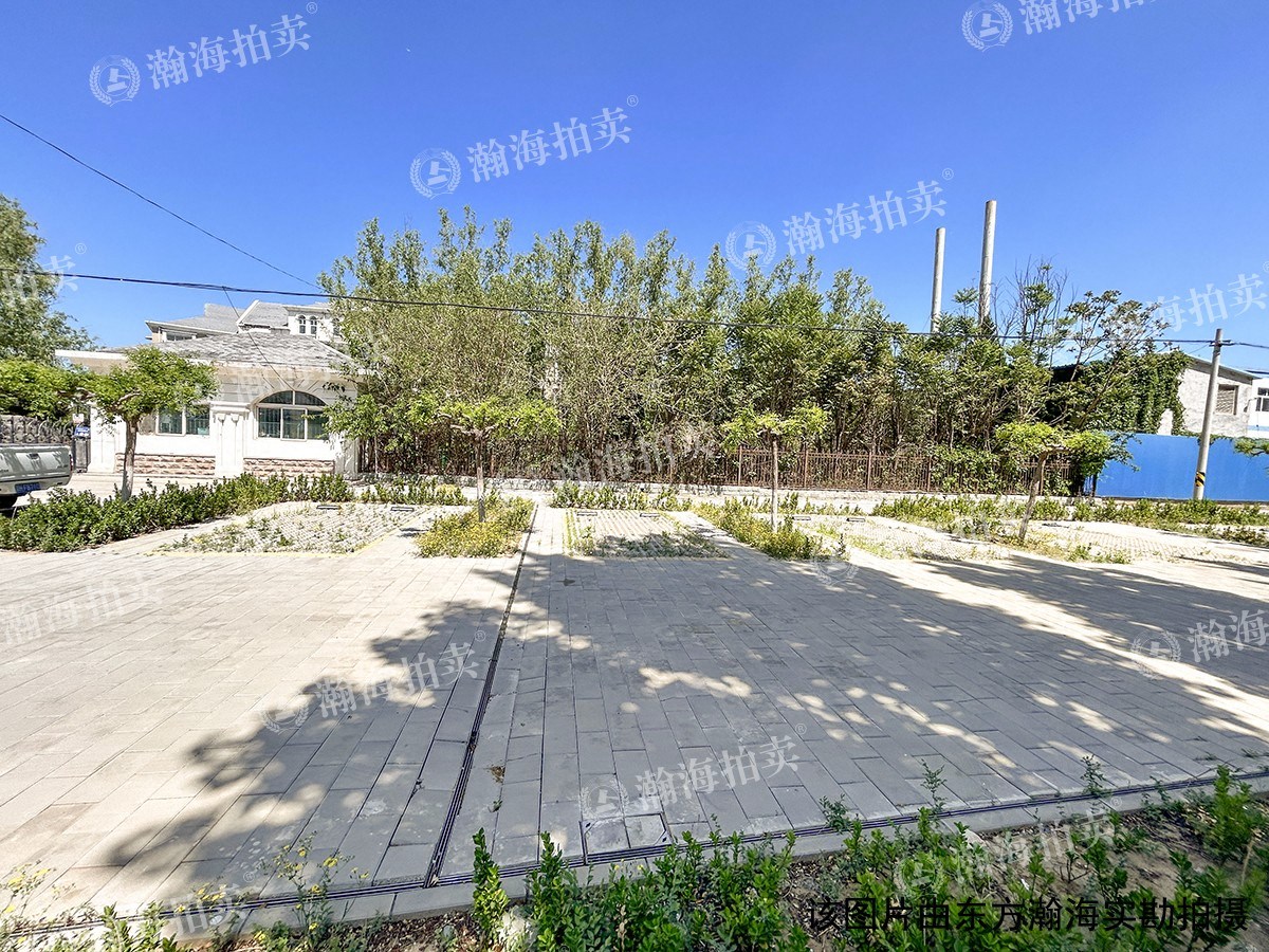 白杨路11号