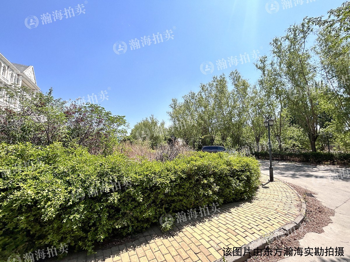 白杨路11号