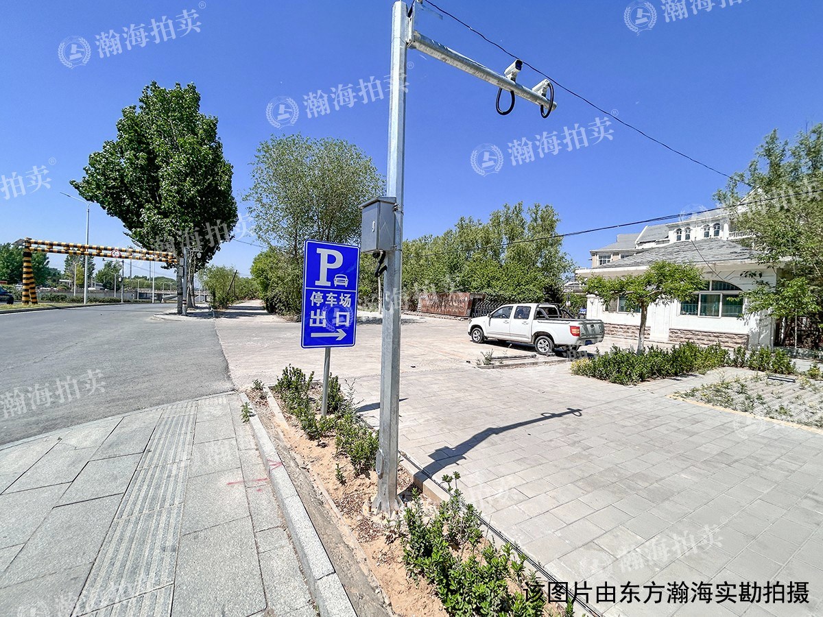 白杨路11号