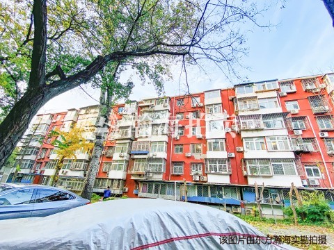 三源里南小街9号楼1单元203室