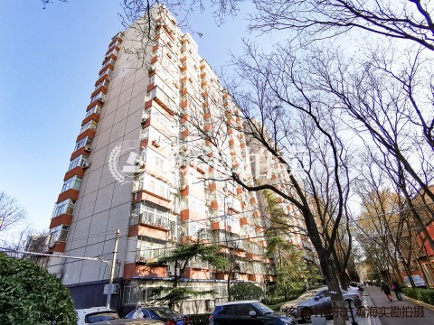 金台北街2号楼3单元104室