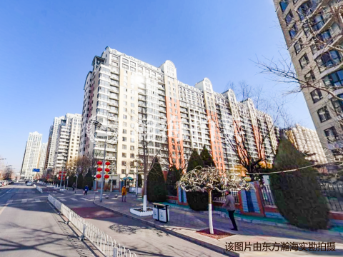 恋日花都11号楼1单元203室