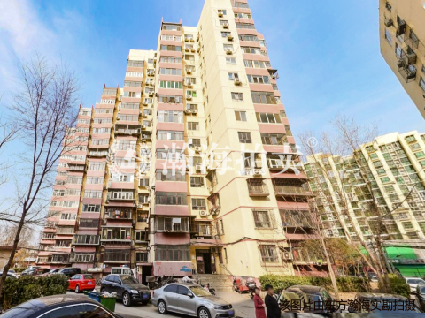 新华街五里东区4号楼1单元303室