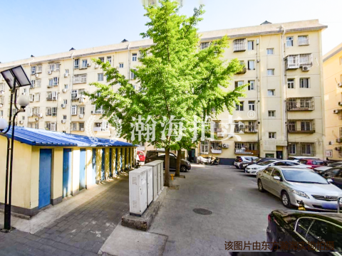 青春路九院13号楼4单元401室