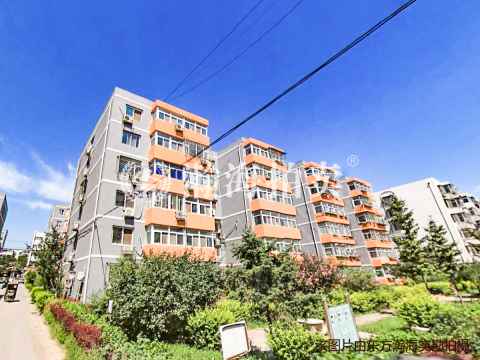 西路南里10号楼4单元501室