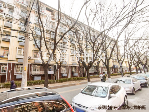 槐柏树街南里8号楼10单元302室