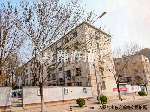 建设街丙5号楼1单元2-4室