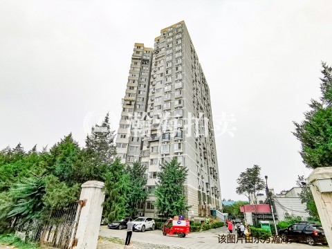 绿岛苑5号楼103室