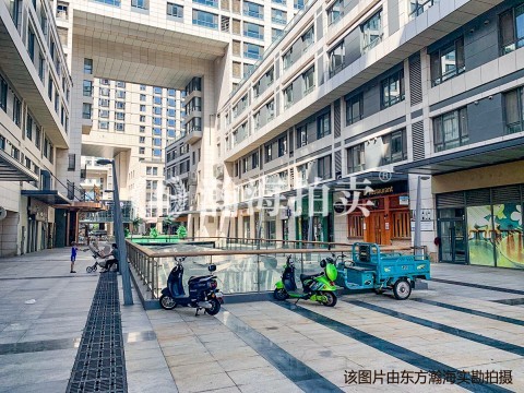 首开铂郡3号楼3单元009室