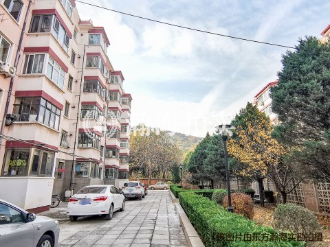 环山村56号楼4单元10室