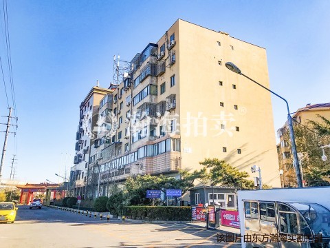 九龙山庄南区21号楼1单元101室