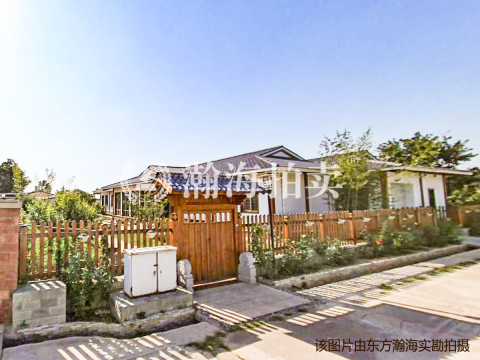 王府家庭农场菊园8、9号