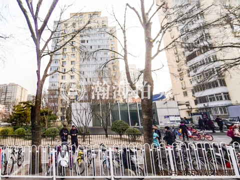 和平西街1号楼807室