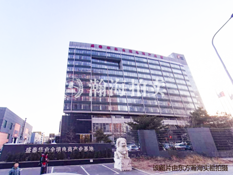 盛泰华业全境电商产业基地10号等11幢楼