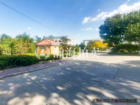 大紫草坞街23号独栋