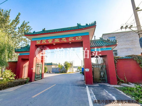 庞各庄镇薛营村东A05号别墅