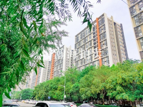 爱这城一期3号楼706室