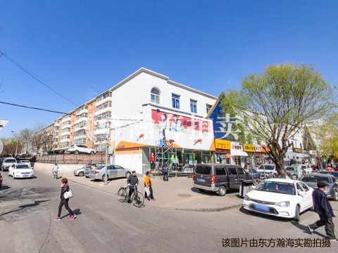 胜芳园10号楼311室