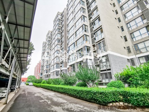 丹青府8号楼5单元202室