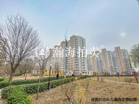 上庄馨瑞嘉园2号楼1单元1003室