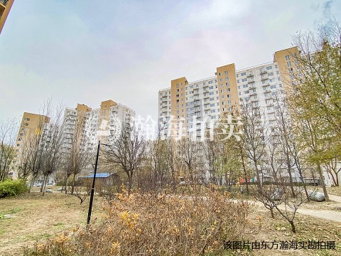 上庄馨瑞嘉园2号楼1单元101室