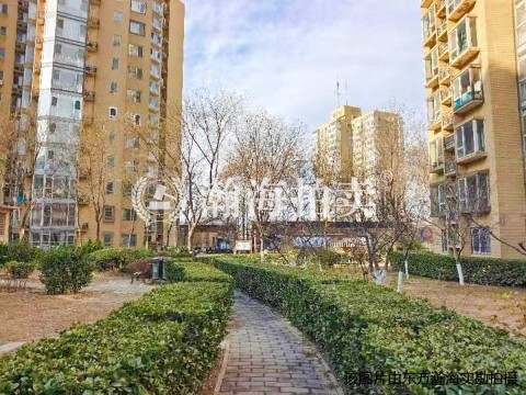 大河庄苑4号楼3单元1308室