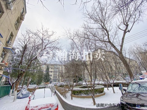 水碓子社区20号楼1单元102室