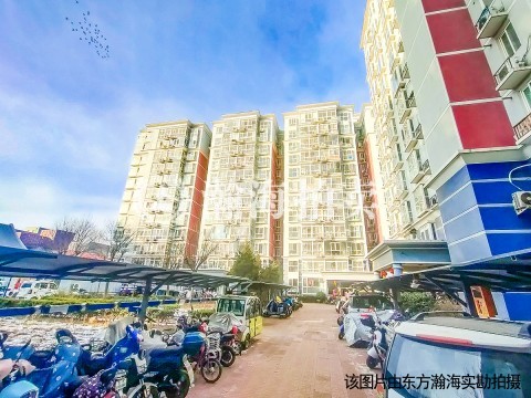 城市亮点1号楼10909室