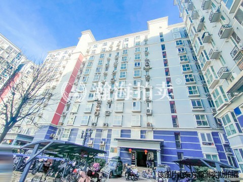 城市亮点3号楼31002室