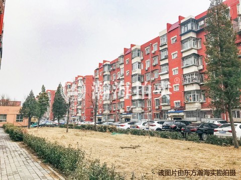 石园南区32号楼2单元301、401室（复式）