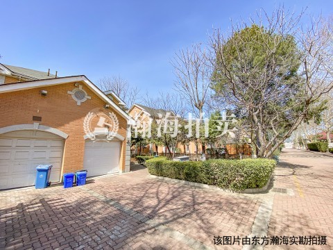 龙苑别墅290幢-1至3层全部房产