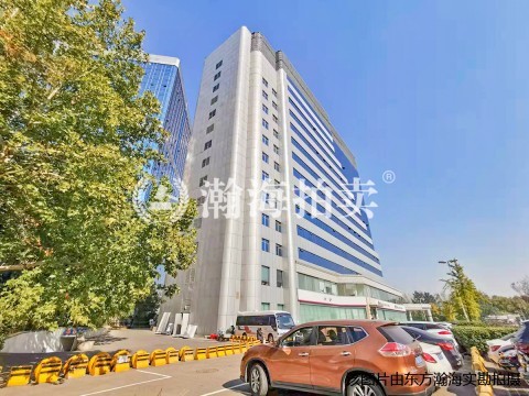 新恒基国际大厦316室