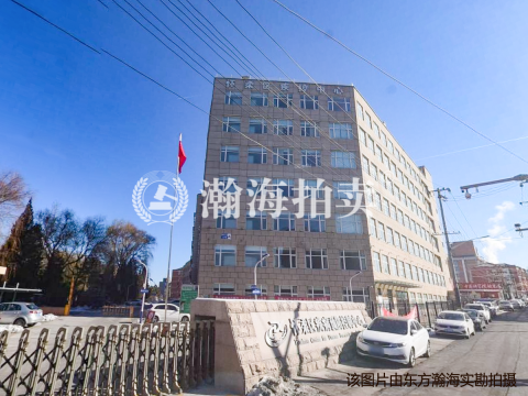 新贤家园59号楼1单元1002室（复式）