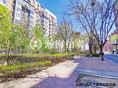 沿海赛洛城四期403号楼1单元709室