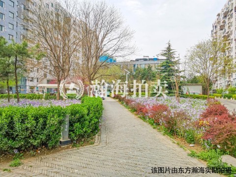 苹果派15号楼4单元203室