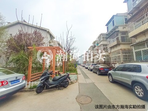 南辛村20号南植社区2号楼1单元202室