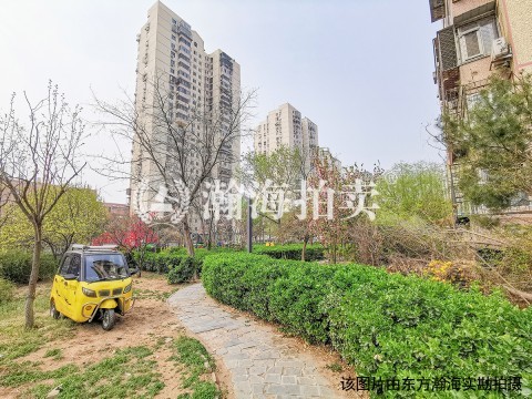 春园8号楼1810室