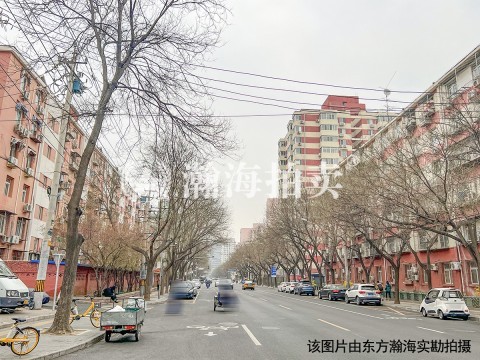 品阁公寓102室（复式底商）